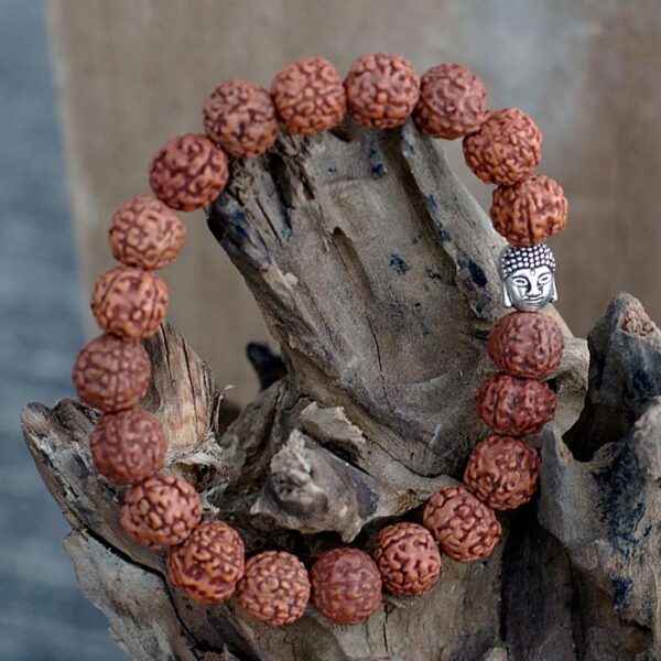 Rudraksha karkötő nagy szemű, Buddha osztóval